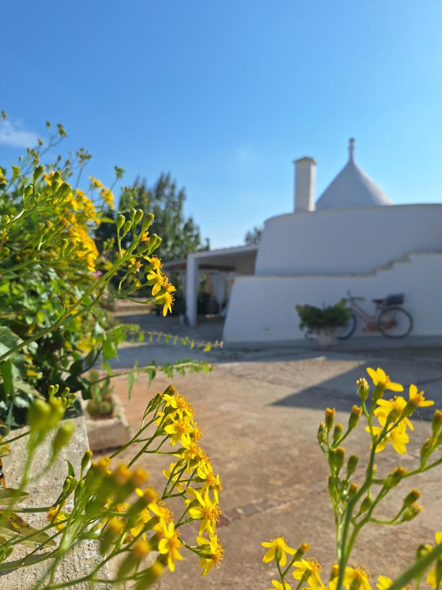 Holiday Home Trullo Antico Ostuni Exterior photo